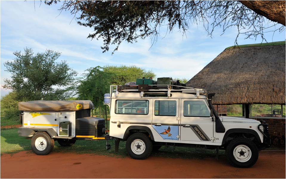MEL2546Landy-op-Anaboom