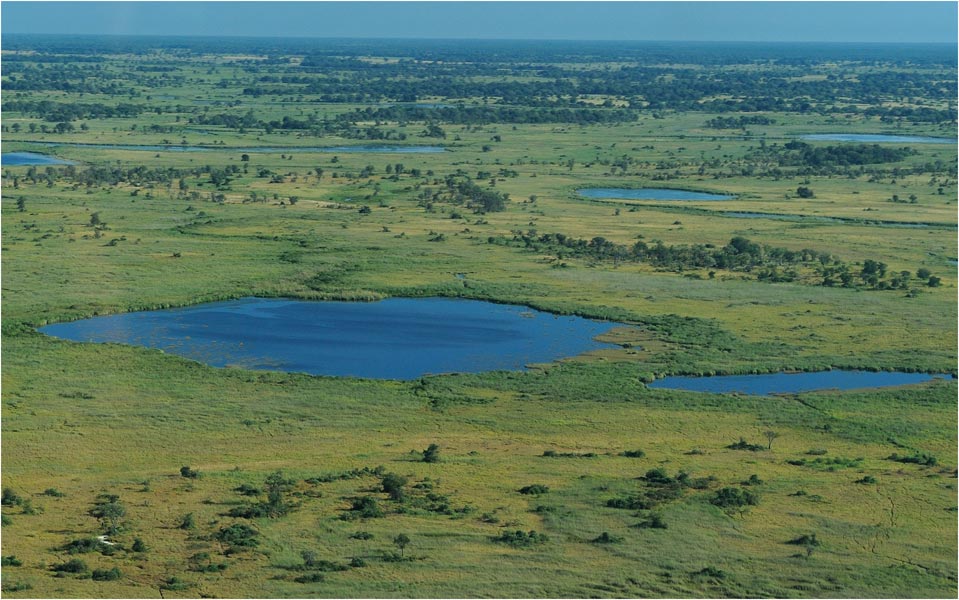 Delta