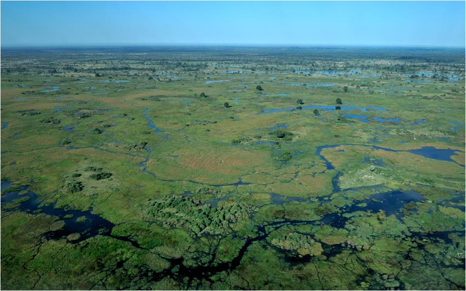 Delta