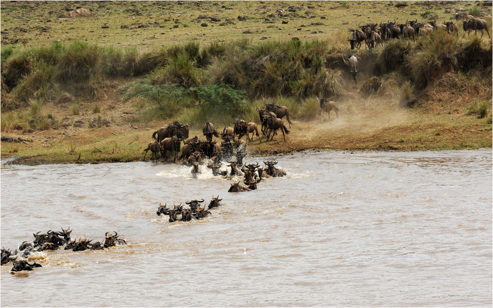 Crossing