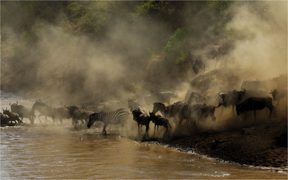 Crossing