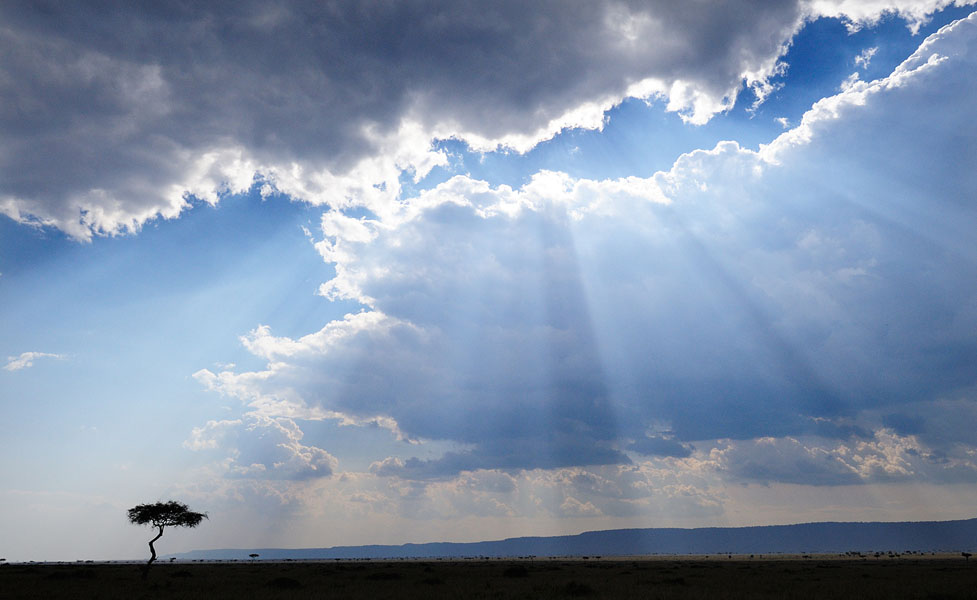 Masai landscape