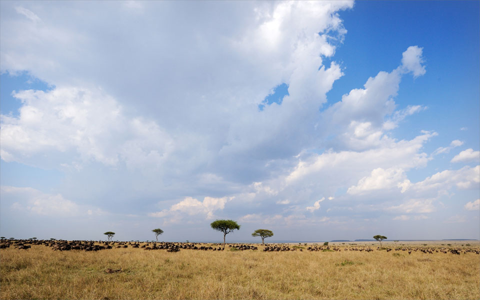 Masai landscape