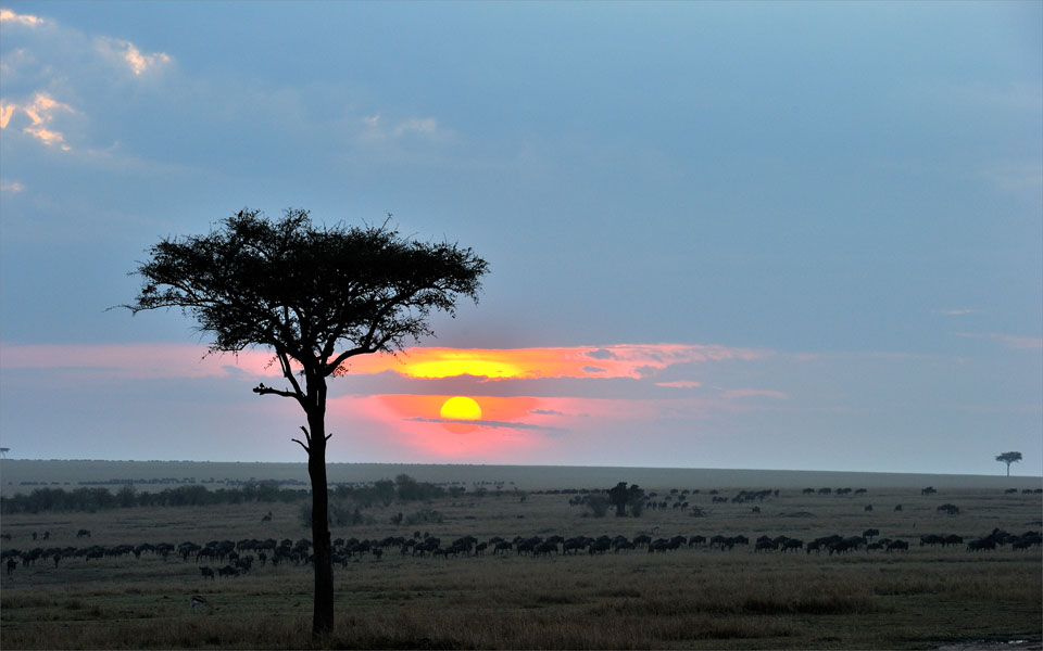 Masai Mara sunrise