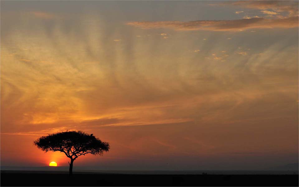 Masai Mara sunrise