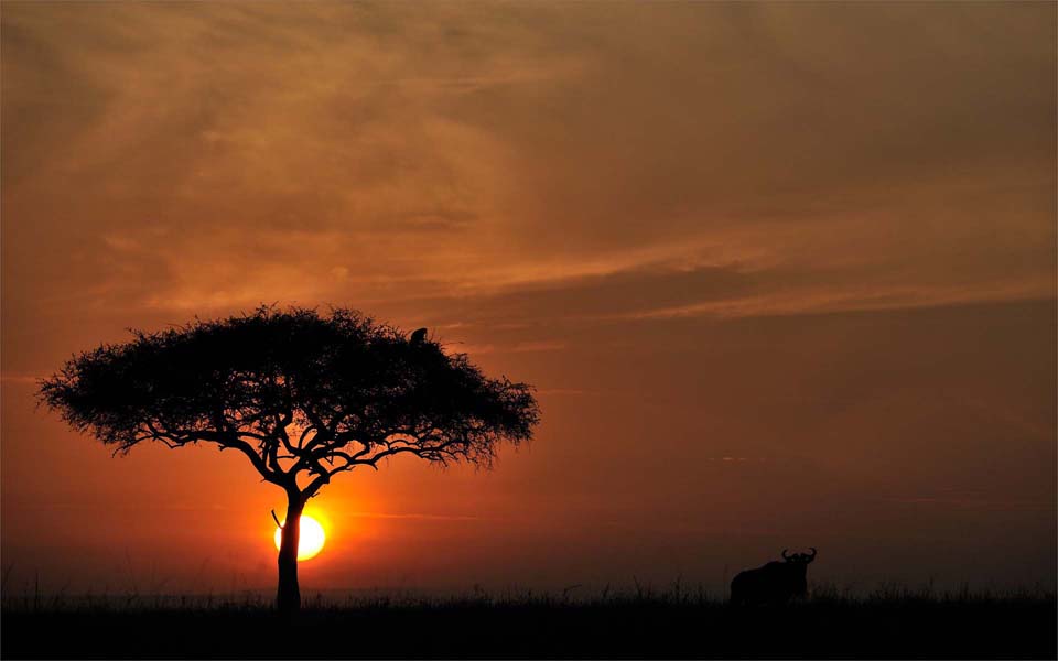 Masai Mara sunrise