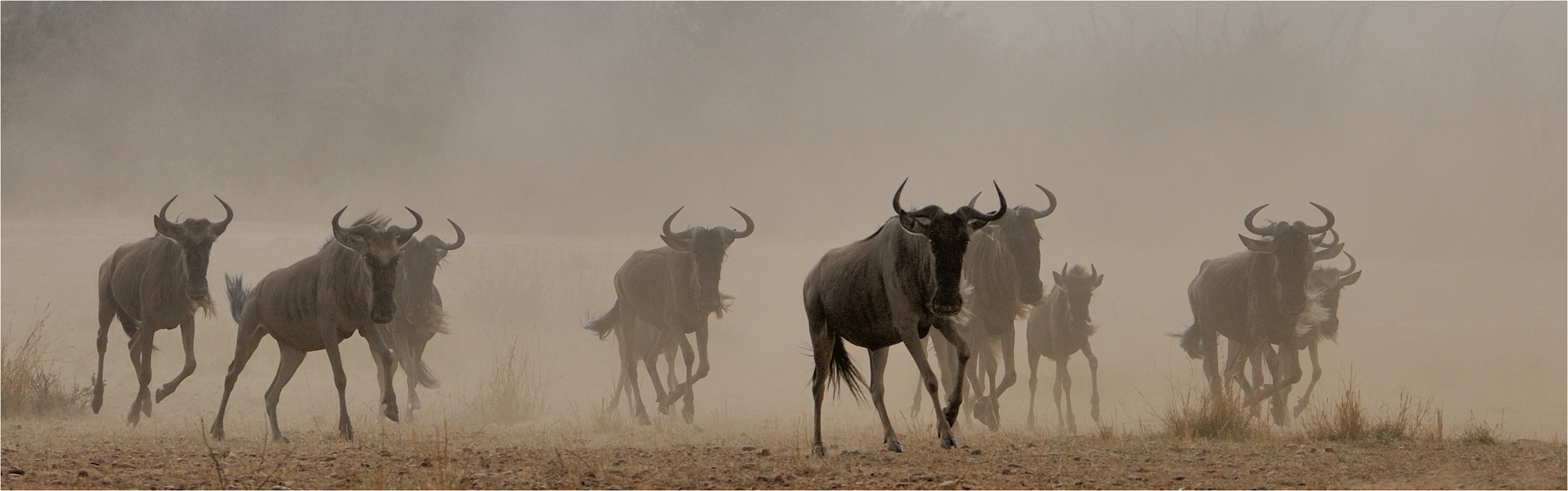 Running gnu