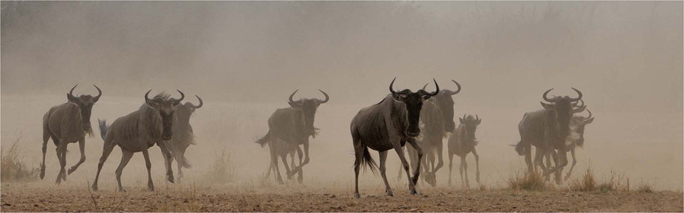 Running gnus
