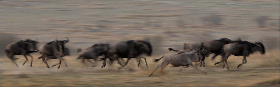 Running gnus
