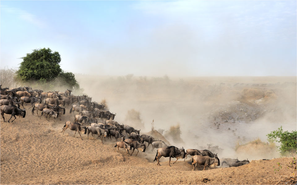 MEL3631crossing