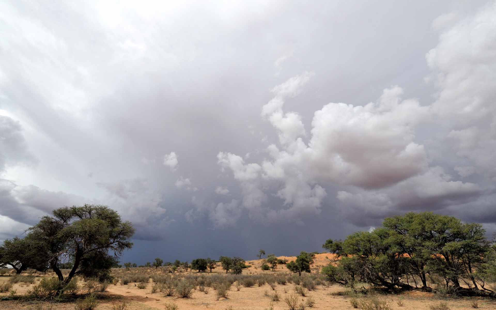 Kalahari storm 0938