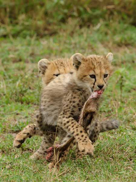 Mine!