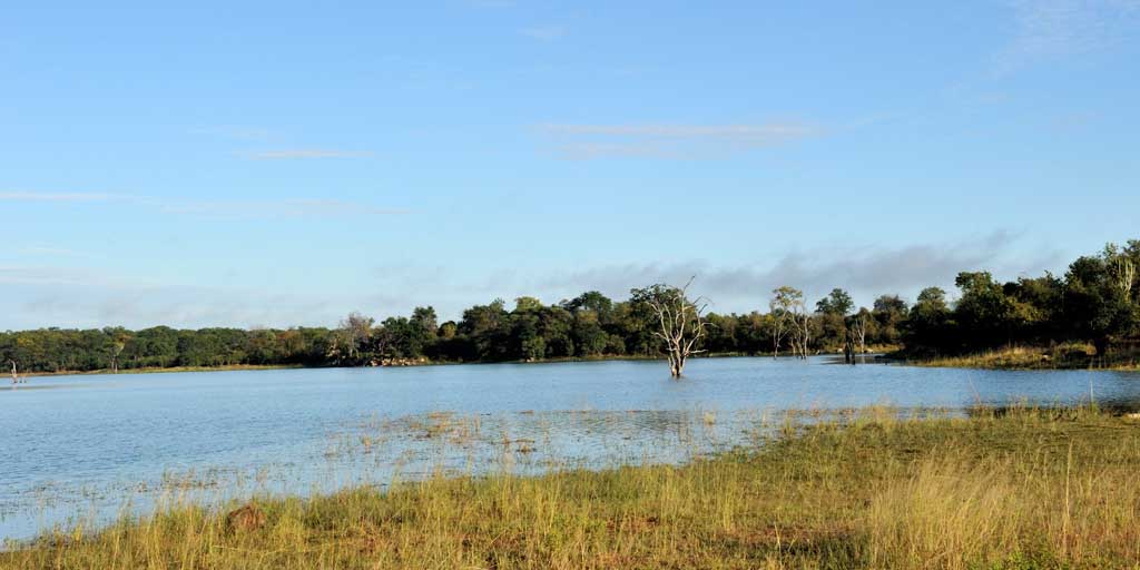 Mandavu dam 4538